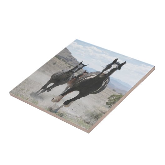 ユタ州の野生の馬が走る タイル (側面)