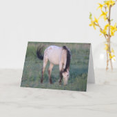 ユタ州の野生馬 カード (黄色い花)