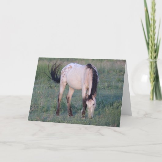 ユタ州の野生馬 カード (正面)