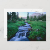 ユタ州の高いインタス·ワイルドネス。静水フォーク ポストカード (正面/裏面)