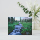 ユタ州の高いインタス·ワイルドネス。静水フォーク ポストカード (スタンド正面)