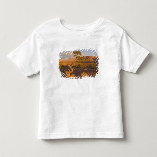 ユタ州の Juniperus osteosperma) トドラーTシャツ (正面)