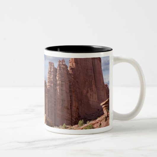 ユタ州アメリカフィッシャー·タワーズの景色。クレジット：ドン ツートーンマグカップ (右)