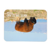 ユタ州アンテロープ島のバイソン マグネット (横)