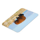 ユタ州アンテロープ島のバイソン マグネット (左側)