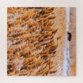 ユタ州アンテロープ島のリード – 20x20 - 676個。 ジグソーパズル (横)