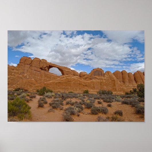 ユタ州アーチズ国立公園スカイラインアーチ ポスター (正面)