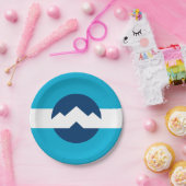 ユタ州オグデン国旗 ペーパープレート (パーティー)