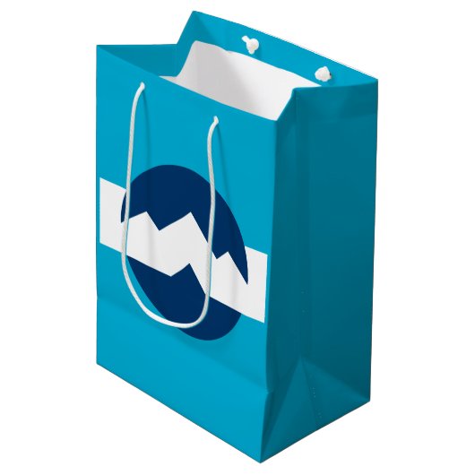 ユタ州オグデン国旗 ミディアムペーパーバッグ (正面アングル)