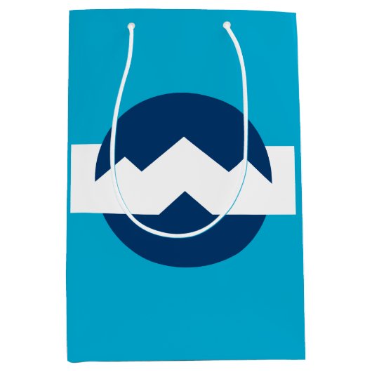 ユタ州オグデン国旗 ミディアムペーパーバッグ (正面)