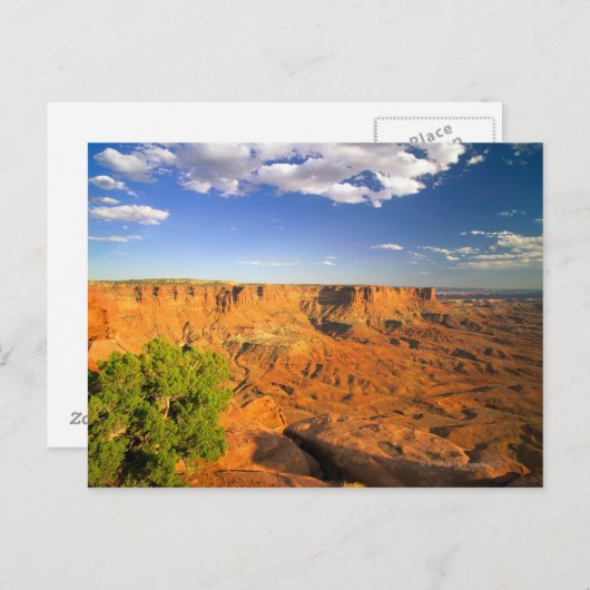 ユタ州キャニョンランズ国立公園統一された州 ポストカード (正面/裏面)
