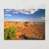 ユタ州キャニョンランズ国立公園統一された州 ポストカード (正面)