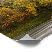 ユタ州シオン国立公園。アメリカ。エフェマル ポスター (角)