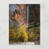 ユタ州シオン国立公園。アメリカ。エフェマル ポストカード (正面)