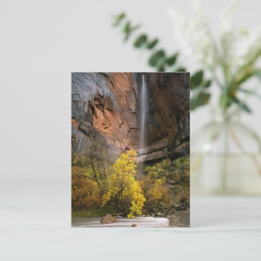 ユタ州シオン国立公園。アメリカ。エフェマル ポストカード (スタンド正面)