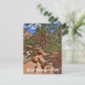 ユタ州シオン国立公園 ポストカード (スタンド正面)