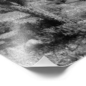 ユタ州ジョシュア・ツリー・フォレスト フォトプリント            (角)