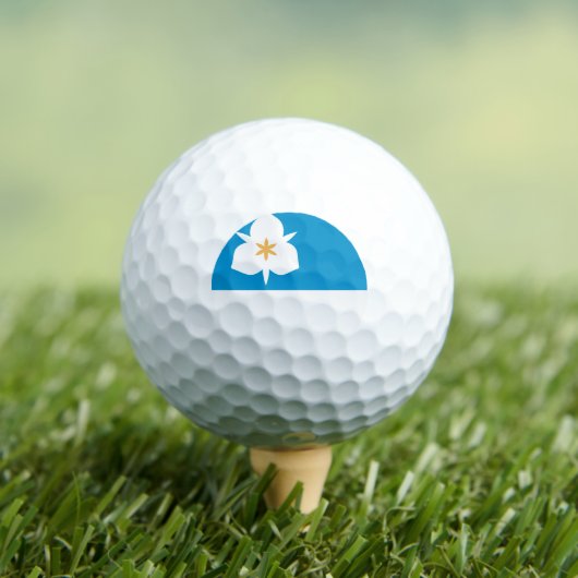 ユタ州ソルトレークシティー国旗 ゴルフボール (インサイチュ 木)