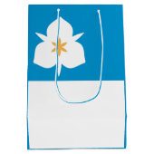ユタ州ソルトレークシティー国旗 ミディアムペーパーバッグ (裏面)