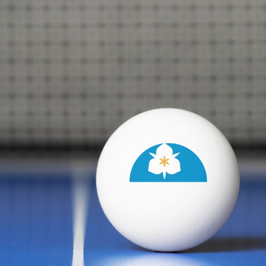 ユタ州ソルトレークシティー国旗 卓球ボール (ネット)
