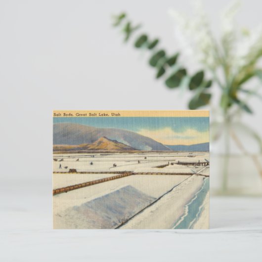 ユタ州ソルト素晴らしレイク・ソルトベッド ポストカード (スタンド正面)