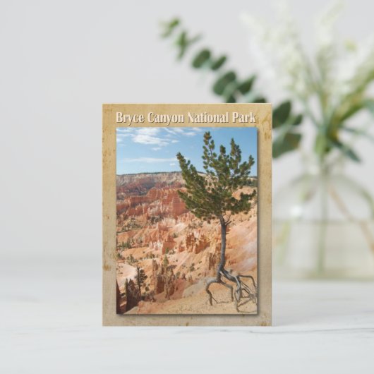 ユタ州ブライスキャニオン国立公園 ポストカード (スタンド正面)