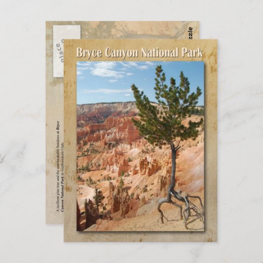 ユタ州ブライスキャニオン国立公園 ポストカード (正面/裏面)