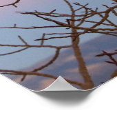 ユタ州ブライス・キャニオン。日没の前の裸木 ポスター (角)