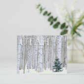 ユタ州マンティ・ラサル国有林 |ハッピーバースデー ポストカード (スタンド正面)