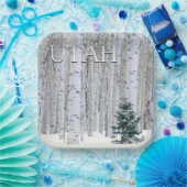 ユタ州マンティ・ラサル国有林 ペーパープレート (パーティー)