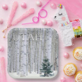 ユタ州マンティ・ラサル国有林 ペーパープレート (パーティー)