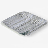 ユタ州マンティ・ラサル国有林 ペーパープレート (傾斜あり)