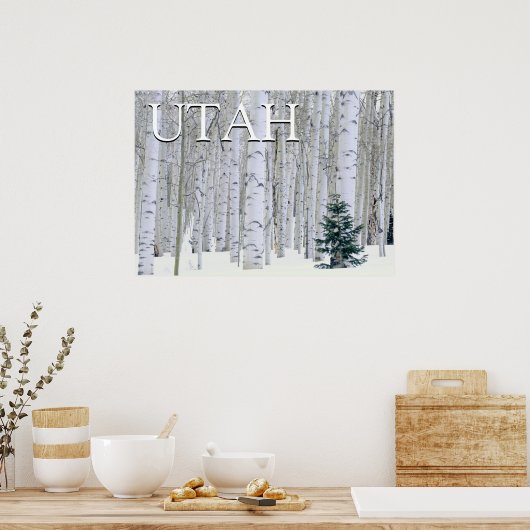 ユタ州マンティ・ラサル国有林 ポスター (キッチン)