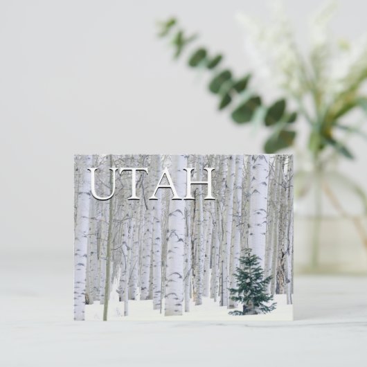 ユタ州マンティ・ラサル国有林 | 誕生日おめでとう ポストカード (スタンド正面)