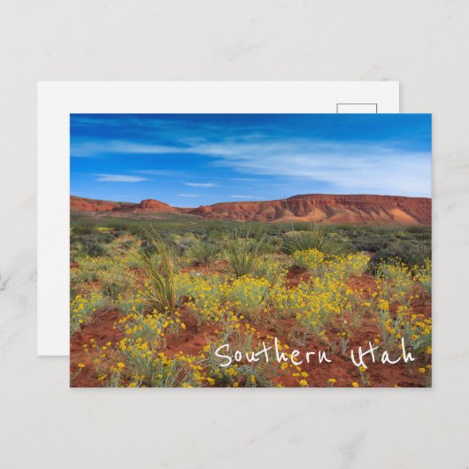 ユタ州南部の野生の花 ポストカード (正面/裏面)