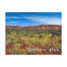 ユタ州南部の野生の花