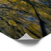 ユタ州.アメリカ。ピーチリーフ柳 ポスター (角)