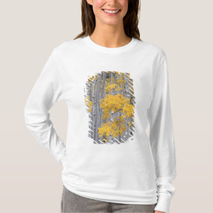 ユタ州 アメリカ ポプラ林 (Populus tremuloides) Tシャツ