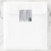 ユタ州 アメリカ ヤマナラシ (Populus tremuloides) と スクエアシール (バッグ)