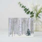 ユタ州 アメリカ ヤマナラシ (Populus tremuloides) と ポストカード (スタンド正面)