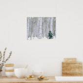 ユタ州.アメリカ。《植物》アスペン（ポピュラス・トレムロイデス） & Doglas ポスター (キッチン)