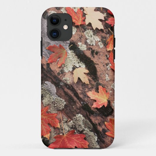 ユタ州、ザイオン国立公園、秋のパターン Case-Mate iPhoneケース (裏面)