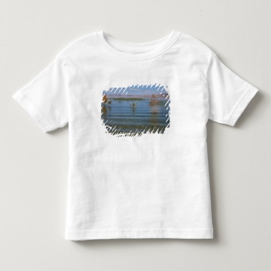ユタ州、ベアレイク トドラーTシャツ (正面)