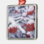 ユタ州、ヨーロッパのマウンテンアッシュベリーに雪が降る。 メタルオーナメント (左)