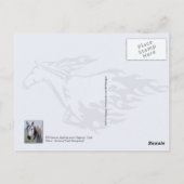 ユタ州，野馬の戦い ポストカード (裏面)