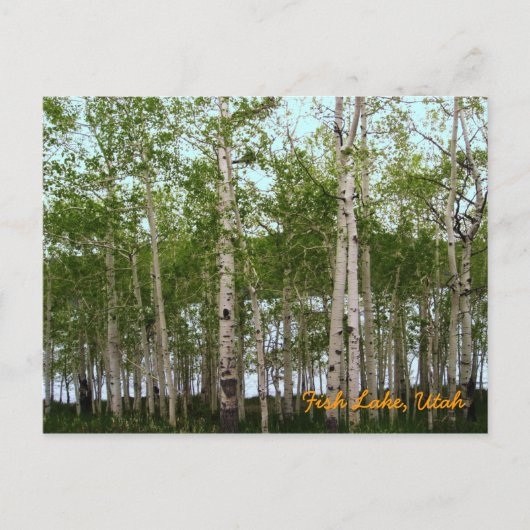 ユタ州，魚の湖 ポストカード (正面)
