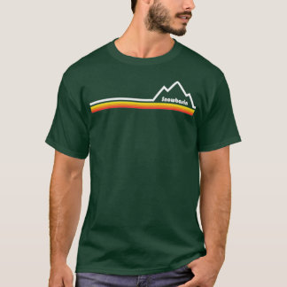 ユタ県 Tシャツ