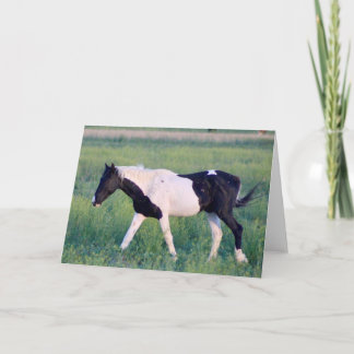 ユタ・ウアイの野生の馬 カード