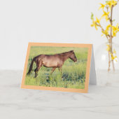 ユタ・ウレイ・ノート・カードの野生馬 カード (黄色い花)