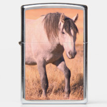 ユタ・オナキの野生の馬HERDジッポライター